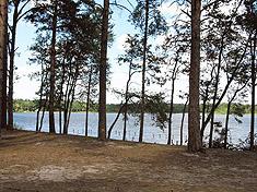Белое озеро - берег