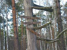 Белое озеро