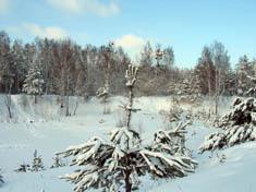 Бронная гора