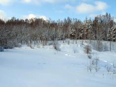 Бронная гора