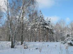 Бронная гора