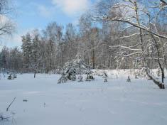 Бронная гора