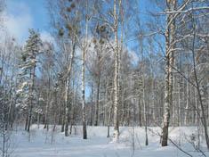 Бронная гора
