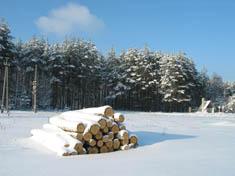 Бронная гора
