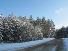Дорога