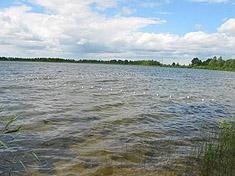 Лягушатник